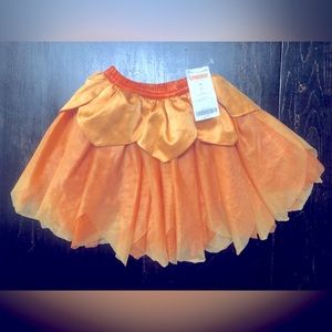 Brand New Gymboree Fairy Tulle Tutu Skirt 2T